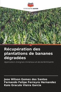 bokomslag Récupération des plantations de bananes dégradées