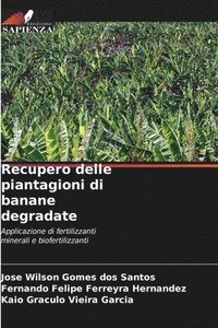 bokomslag Recupero delle piantagioni di banane degradate