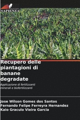 bokomslag Recupero delle piantagioni di banane degradate
