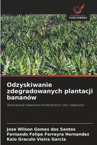 bokomslag Odzyskiwanie zdegradowanych plantacji bananów