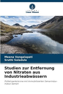 bokomslag Studien zur Entfernung von Nitraten aus Industrieabwässern