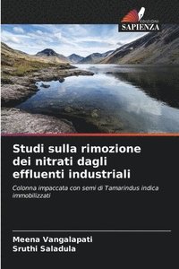 bokomslag Studi sulla rimozione dei nitrati dagli effluenti industriali