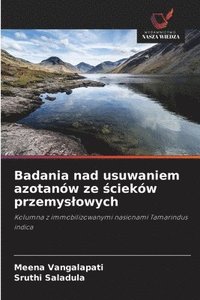 bokomslag Badania nad usuwaniem azotanów ze ?cieków przemyslowych