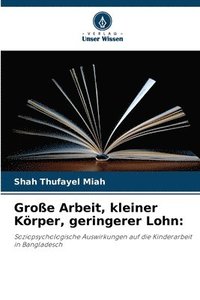 bokomslag Große Arbeit, kleiner Körper, geringerer Lohn