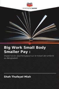 bokomslag Big Work Small Body Smaller Pay