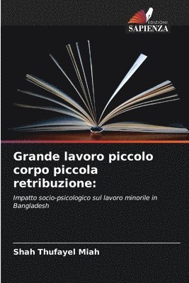 bokomslag Grande lavoro piccolo corpo piccola retribuzione