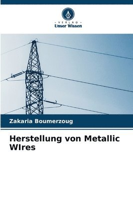Zakaria Boumerzoug - Herstellung von Metallic WIres, Häftad