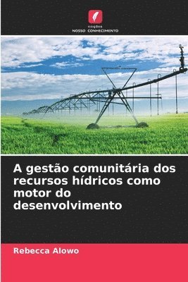 bokomslag A gestão comunitária dos recursos hídricos como motor do desenvolvimento
