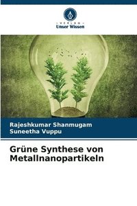 bokomslag Grüne Synthese von Metallnanopartikeln