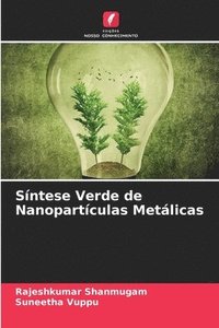 bokomslag Síntese Verde de Nanopartículas Metálicas