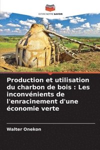 bokomslag Production et utilisation du charbon de bois: Les inconvénients de l'enracinement d'une économie verte