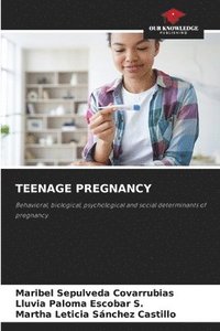 bokomslag Teenage Pregnancy