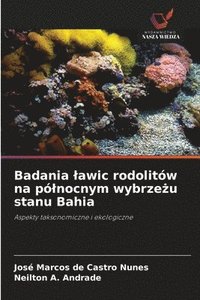 bokomslag Badania lawic rodolitów na pólnocnym wybrze?u stanu Bahia