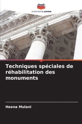 bokomslag Techniques spéciales de réhabilitation des monuments