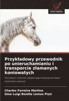 bokomslag Przyk¿adowy przewodnik po unieruchamianiu i transporcie z¿amanych koniowatych