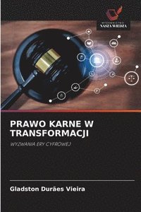 bokomslag Prawo Karne W Transformacji