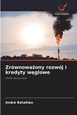 André Batalhão - Zrównoważony rozwój i kredyty węglowe, Häftad