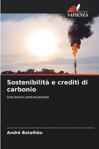 bokomslag Sostenibilità e crediti di carbonio