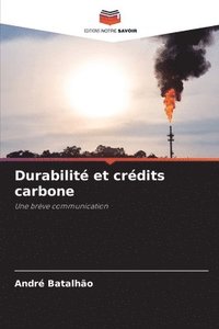 bokomslag Durabilité et crédits carbone