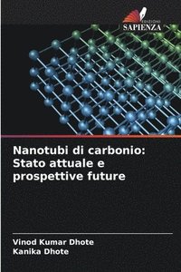 bokomslag Nanotubi di carbonio: Stato attuale e prospettive future