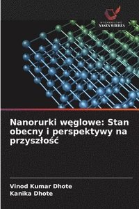 bokomslag Nanorurki w?glowe: Stan obecny i perspektywy na przyszlo?c