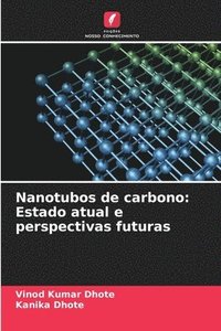 bokomslag Nanotubos de carbono: Estado atual e perspectivas futuras