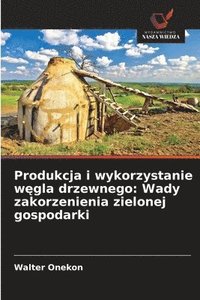 bokomslag Produkcja i wykorzystanie w?gla drzewnego: Wady zakorzenienia zielonej gospodarki