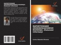 bokomslag Raportowanie Zrównowa?onego Rozwoju: Zlo?ono?c informacji