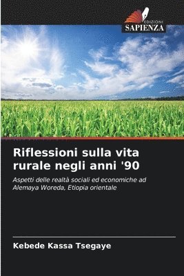 Kebede Kassa Tsegaye - Riflessioni sulla vita rurale negli anni '90, Häftad