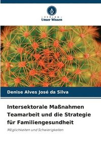 bokomslag Intersektorale Maßnahmen Teamarbeit und die Strategie für Familiengesundheit