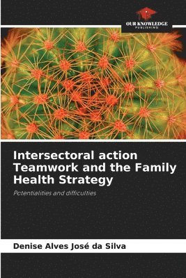 bokomslag Intersectoral action Teamwork and the Family Health Strategy