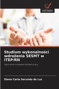 bokomslag Studium wykonalno¿ci wdro¿enia SESMT w ITEP/RN