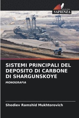 Sistemi Principali del Deposito Di Carbone Di Shargunskoye