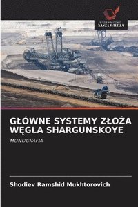 bokomslag G¿ÓWNE SYSTEMY Z¿O¿A W¿GLA SHARGUNSKOYE
