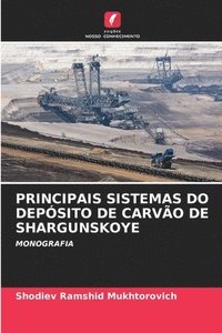 bokomslag PRINCIPAIS SISTEMAS DO DEPÓSITO DE CARVÃO DE SHARGUNSKOYE