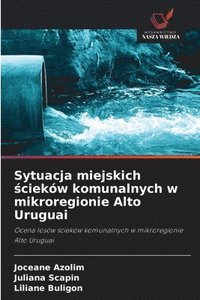 bokomslag Sytuacja miejskich ¿cieków komunalnych w mikroregionie Alto Uruguai