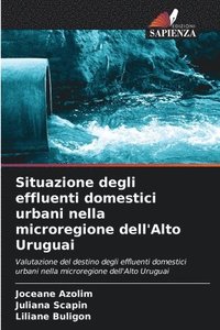 bokomslag Situazione degli effluenti domestici urbani nella microregione dell'Alto Uruguai