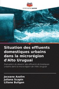 bokomslag Situation des effluents domestiques urbains dans la microrégion d'Alto Uruguai