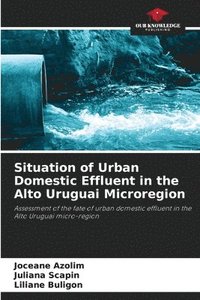 bokomslag Situation of Urban Domestic Effluent in the Alto Uruguai Microregion