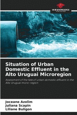 bokomslag Situation of Urban Domestic Effluent in the Alto Uruguai Microregion