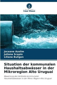 bokomslag Situation der kommunalen Haushaltsabwässer in der Mikroregion Alto Uruguai