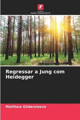 Regressar a Jung com Heidegger