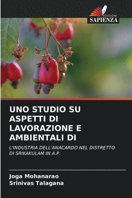 bokomslag Uno Studio Su Aspetti Di Lavorazione E Ambientali Di