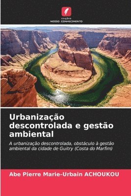 bokomslag Urbanização descontrolada e gestão ambiental