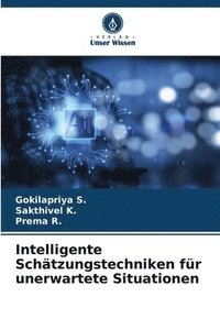 bokomslag Intelligente Schätzungstechniken für unerwartete Situationen