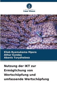 bokomslag Nutzung der IKT zur Ermöglichung von Wertschöpfung und umfassende Wertschöpfung