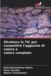 bokomslag Sfruttare le TIC per consentire l'aggiunta di valore e valore completo