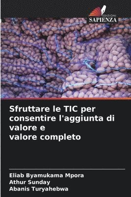 bokomslag Sfruttare le TIC per consentire l'aggiunta di valore e valore completo