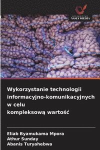 bokomslag Wykorzystanie technologii informacyjno-komunikacyjnych w celu kompleksow? warto?c