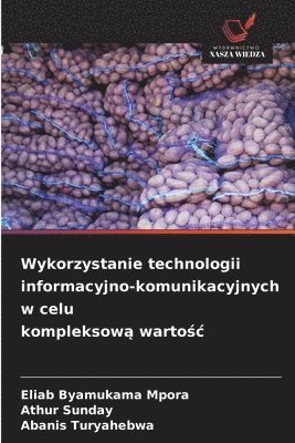 bokomslag Wykorzystanie technologii informacyjno-komunikacyjnych w celu kompleksow? warto?c